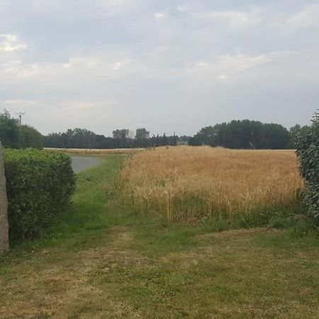 Gite 3 Places Au Coeur Du Tregor Langoat Zewnętrze zdjęcie